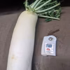 【ヒルナンデス出演で話題】生産量わずか1%未満の『霜降り三浦大根』
