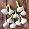 丹波篠山産　生にんにく 1Kg/10～12個 農薬不使用 天然肥料使用