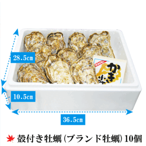 かき小町【広島最高級ブランド牡蠣】
