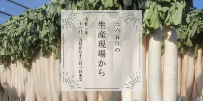 ずらり圧巻の大根干し☀️さて､何の製造風景でしょう？｜11月25日〜12月1日の生産現場から、今週の33投稿！