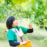 黛青葉 | 結び葉合同会社