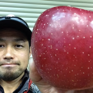 今年は細々とやります　サンふじ【訳あり】【数量限定】【簡易梱包】【荒選果】