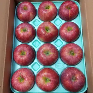 夏のりんご・シナノリップ３kg(8～12個入) 