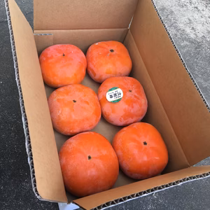 贈りものに最適！逸品　種無し次郎柿　