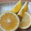 【そのまま食べられる】レモンレモネード　和歌山