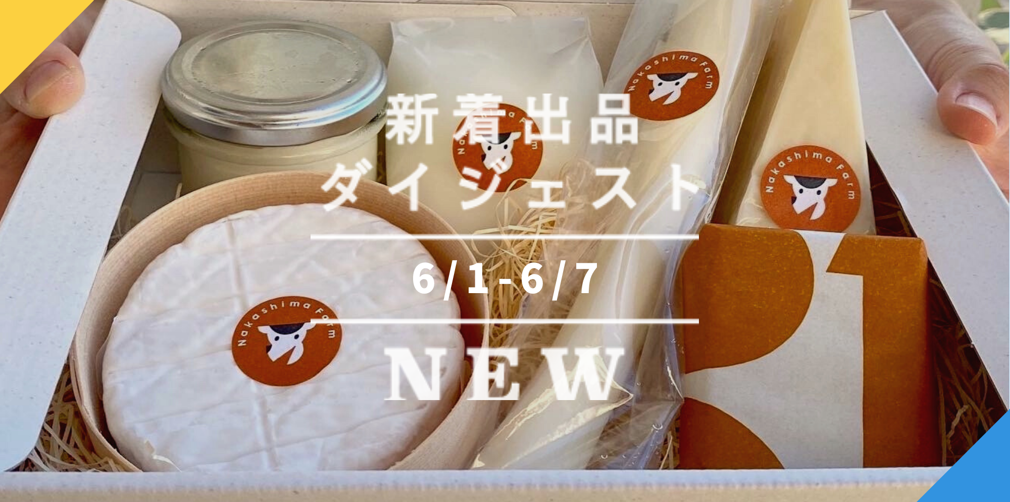 ⭐︎晴香⭐︎様 専用出品① だいぼうけん 中編 など - 本