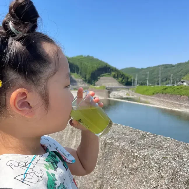 ポスト投函＼売れ筋３点セット／】八女茶のたつみ園ご自宅便☺︎｜お茶