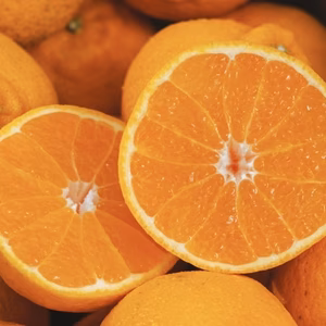 【樹上完熟】不知火（デコ）『甘みと程よい酸味のバランスが絶妙』【家庭用 】