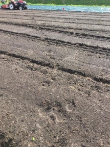 14606504_919053488199924_9156574127148469448_n