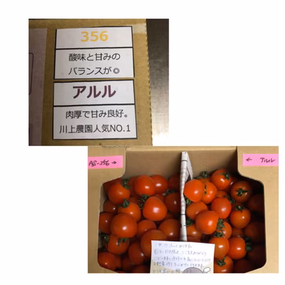 みんなの投稿の画像