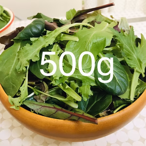 【減農薬栽培】　ベビーリーフ　500g
