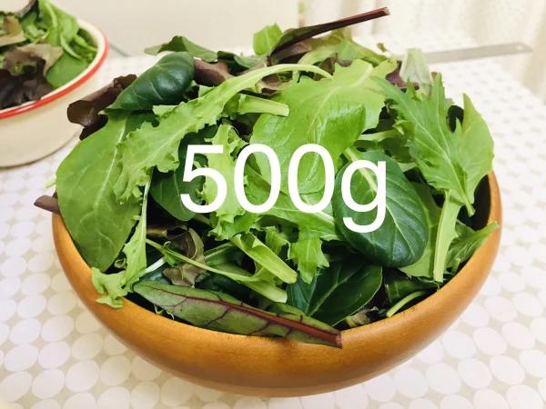 【減農薬栽培】　ベビーリーフ　500g