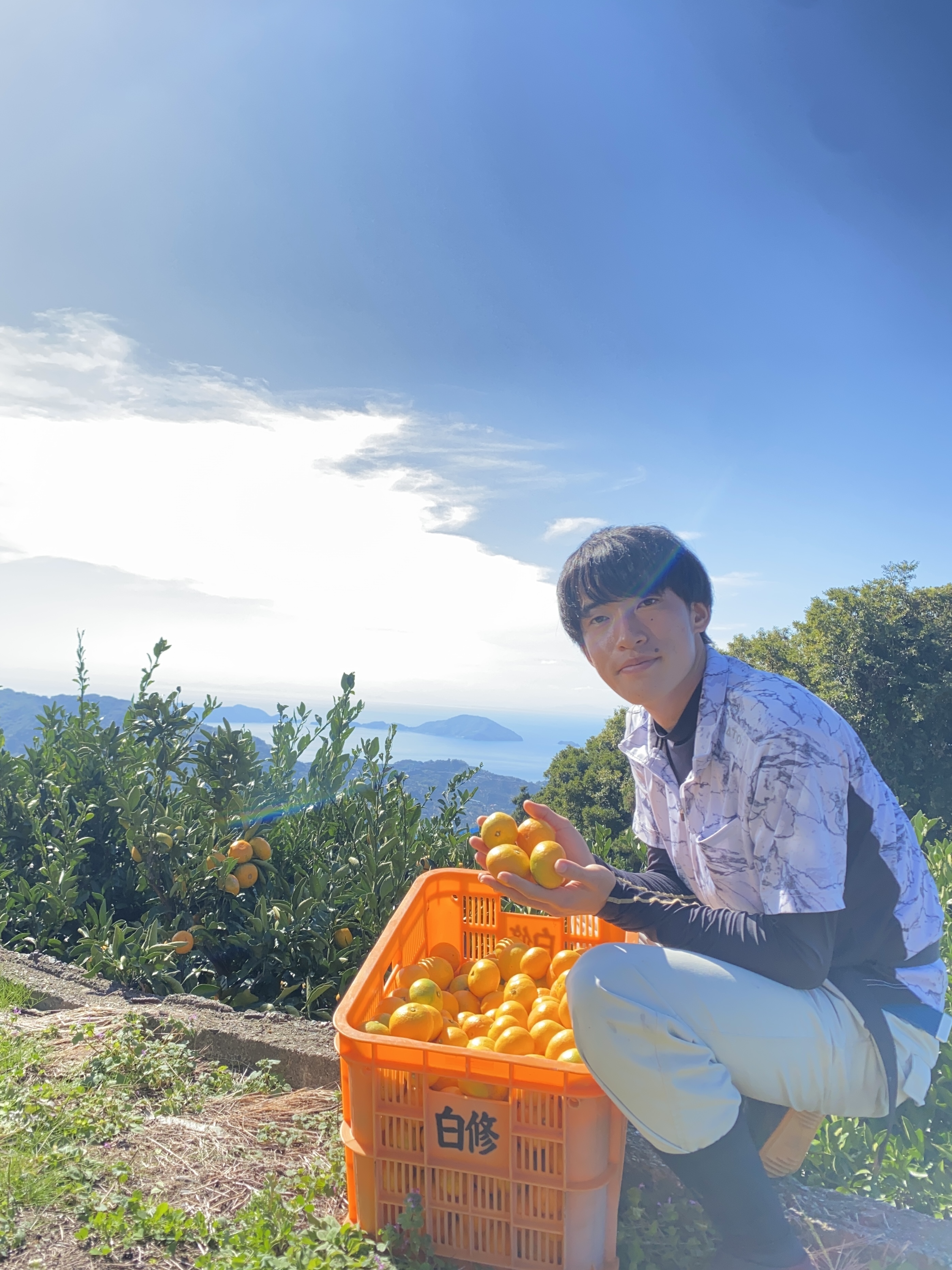 愛媛県八幡浜市｜オレンジグローブ タカシマ｜髙島建樹さんの生産者