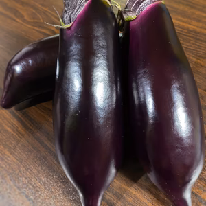 ナス　とげなし輝楽