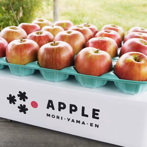 【訳ありご家庭用】皮ごと食べられる青森りんご「未希ライフ」