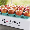 【訳ありご家庭用】皮ごと食べられる青森りんご「未希ライフ」
