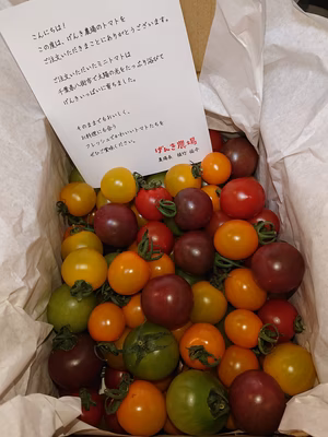 みんなの投稿の画像