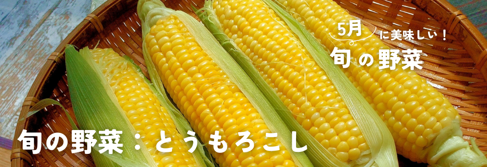 5月に旬のとうもろこし