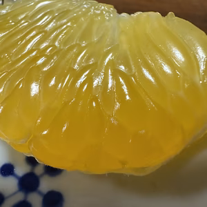 はっさくファン必見！つぶつぶジューシー熟成はっさく生果【自然栽培】