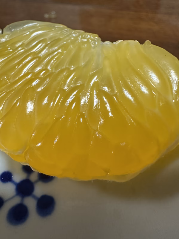 はっさくファン必見！つぶつぶジューシー熟成はっさく生果【自然栽培】