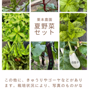 暑い岐阜から、栗本農園の夏野菜セット