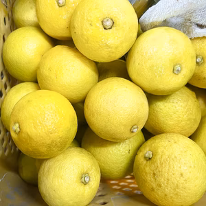 おうちで楽しむ黄カボス2kg