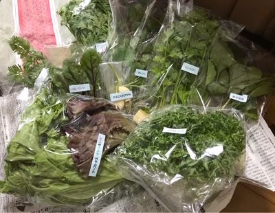 みんなの投稿の画像