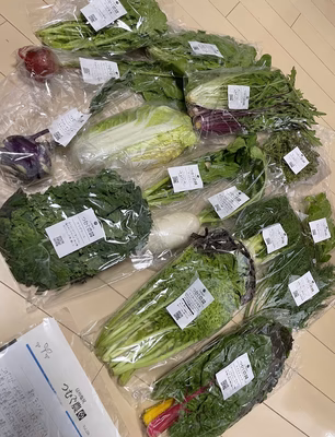 みんなの投稿の画像