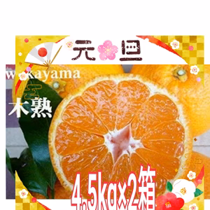 新春特別福袋【4.5 kg×2箱】　完熟!【味の特選】お家用！木成り有田みかん 