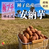 【絶品】種子島産 安納芋 極プチサイズ｜aimo農園