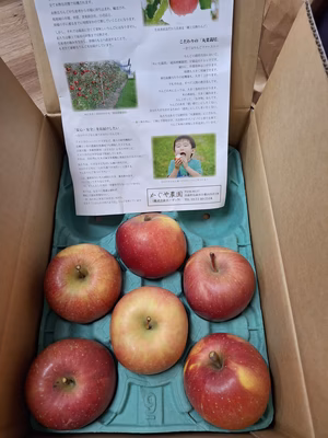 みんなの投稿の画像