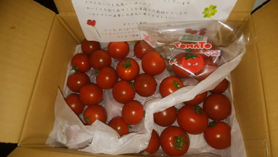 みんなの投稿の画像