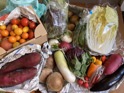 みんなの投稿の画像