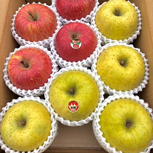 【贈答用】数量限定青森県産りんご 葉取らずふじ・王林3kg