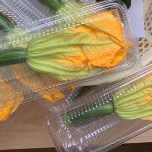 花ズッキーニ‼️48本❗️緑と黄❗️大箱詰め込み‼️ぎゅ⁉️