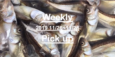 Weekly Pick Up Vol.03〜大満足のボリューム！食材特集〜