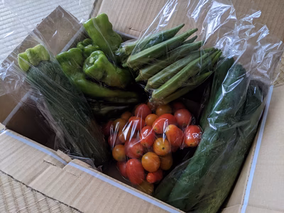 みんなの投稿の画像