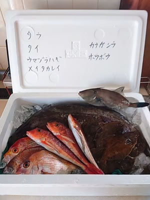 みんなの投稿の画像