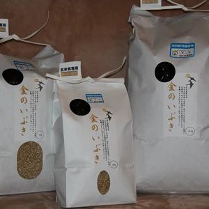 令和５年雁の里(かりのさと)の「金のいぶき」農薬・化学肥料不使用玄米