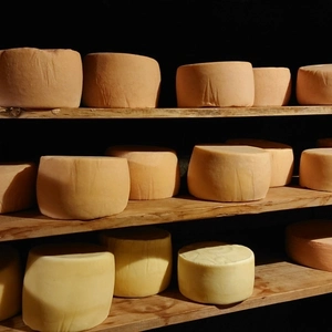 牛乳山のとろ～りまかないチーズ1.8kg