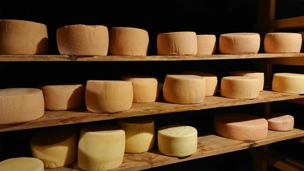 牛乳山のとろ～りまかないチーズ2.9kg