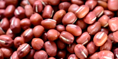 週末のお花見に。誰でもできるつぶあんの作り方