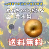 訳あり【本当に小さいサイズ】豊水梨