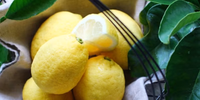 フレッシュレモンのお料理アイデア〜みんなのコミュニティ投稿まとめ〜