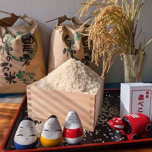 会津米 コシヒカリ　5㎏　(白米）