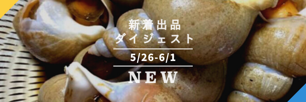 バックナンバー]宮崎マンゴーと京都の白バイ貝で6月スタート????今週のおすすめ新着出品[2021年6月4日編] | 農家漁師から産地直送の通販