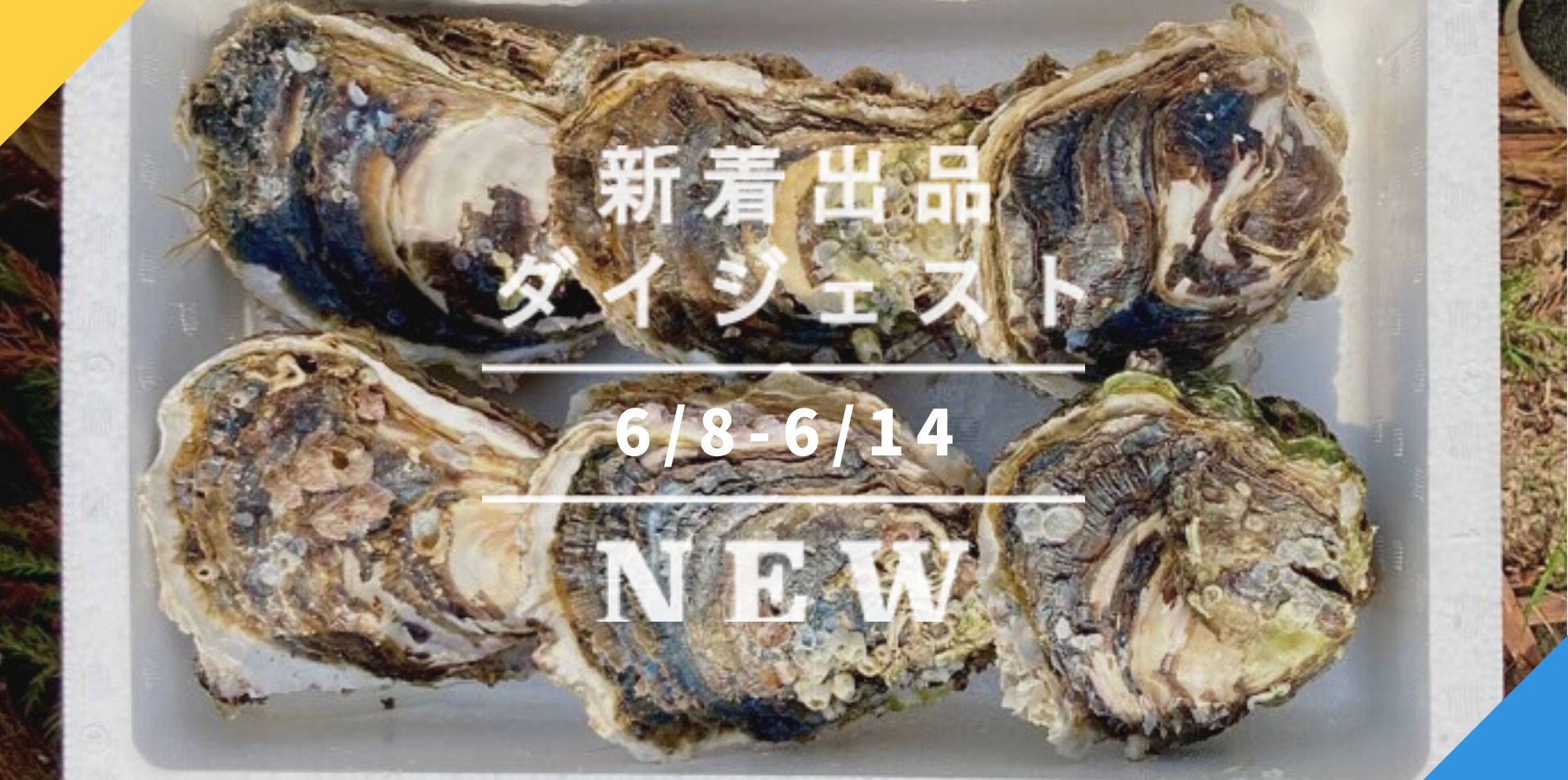 バックナンバー]今週のおすすめ後半②宅配便(2022年6月17日編) | 農家漁師から産地直送の通販 ポケットマルシェ