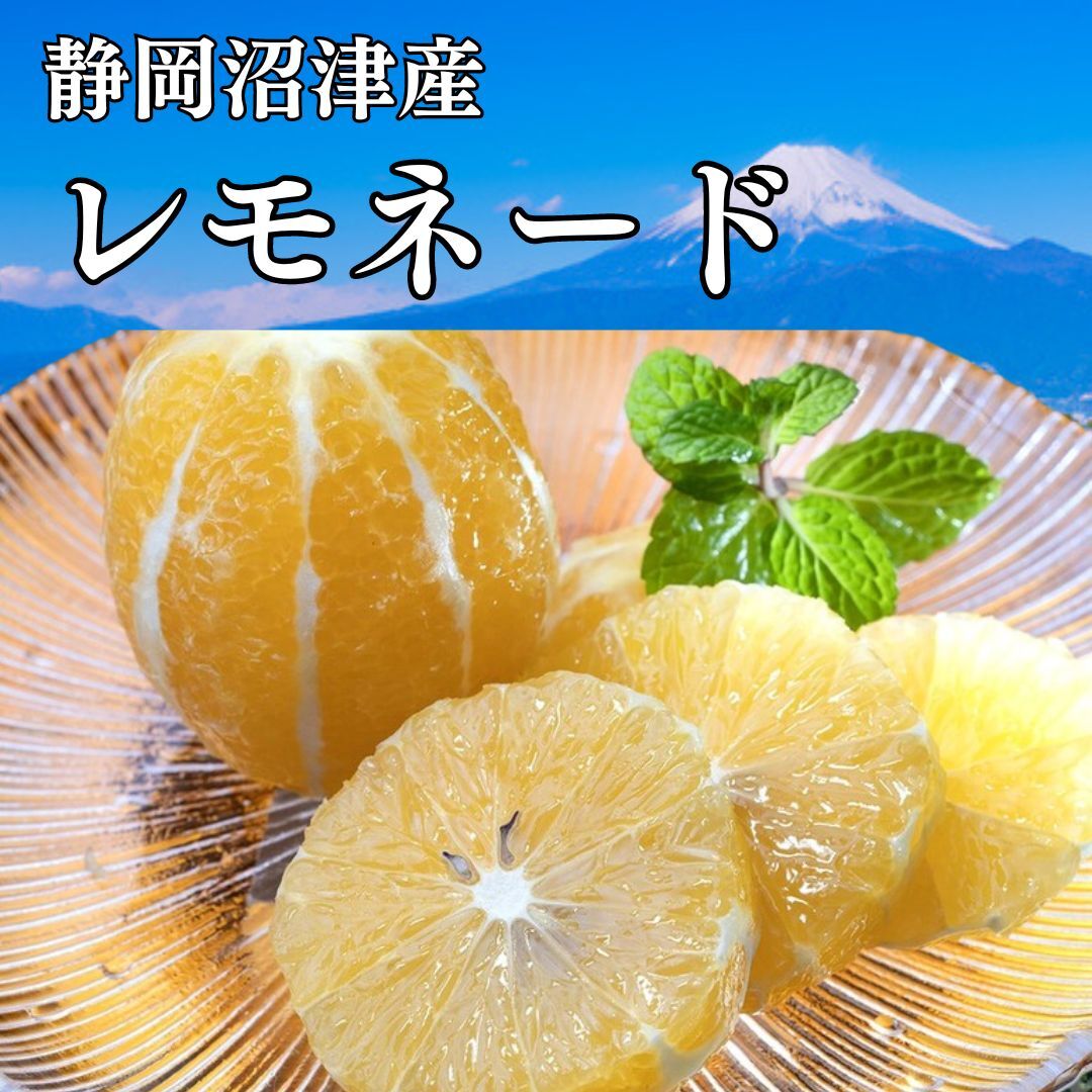 静岡県産レモネード15キロ - 果物