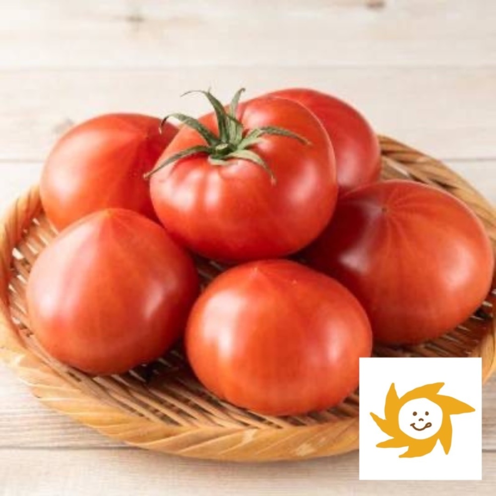 あいちの伝統野菜】ファーストトマト 今や幻！バランス絶妙トマト