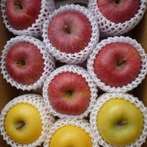 【贈答用】 シナノスイート シナノゴールド 詰合せ 約3kg 信州りんご